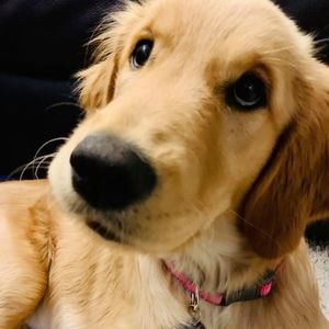 Meet your Posher, Rb